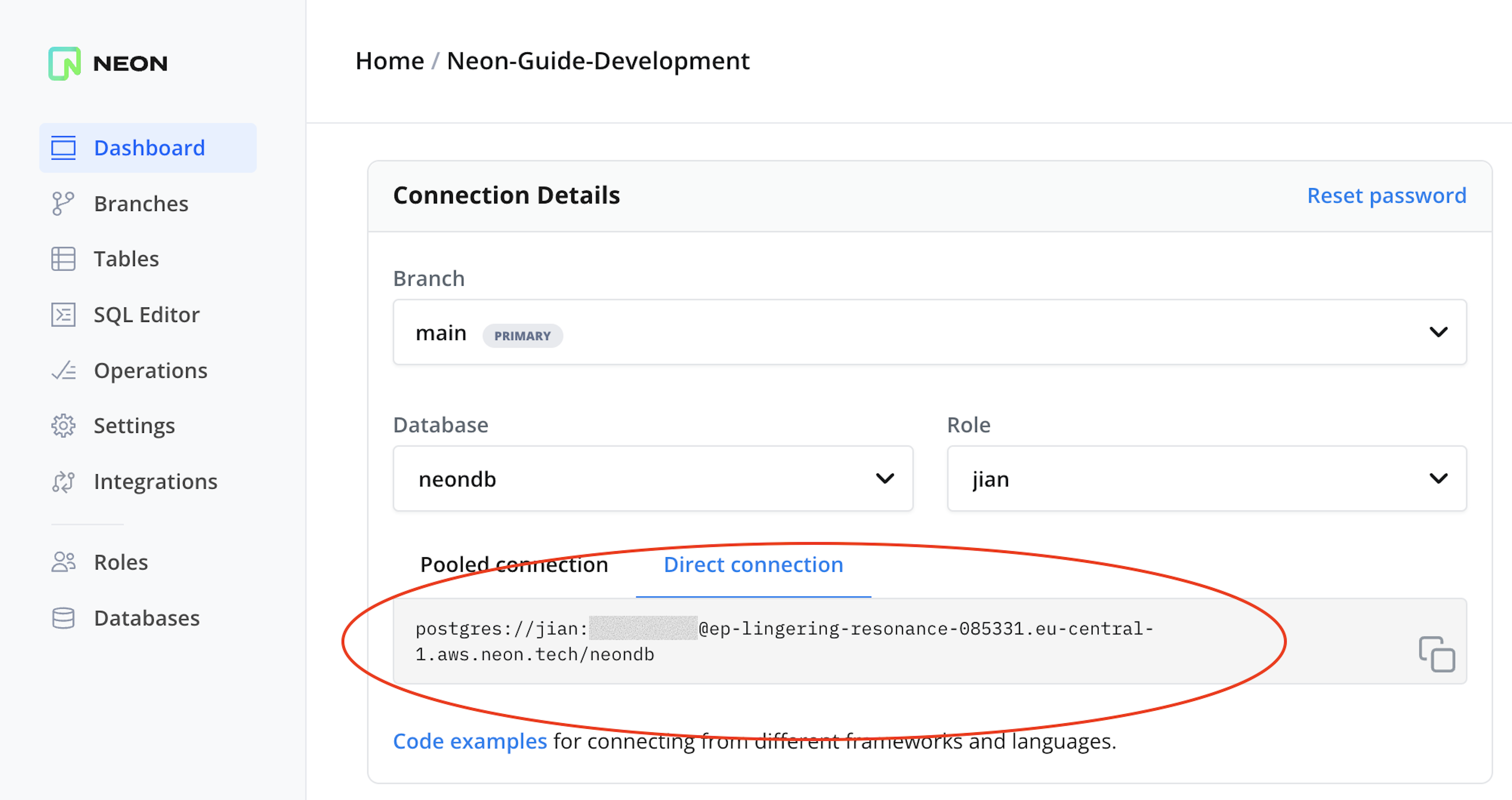 Neon connection string