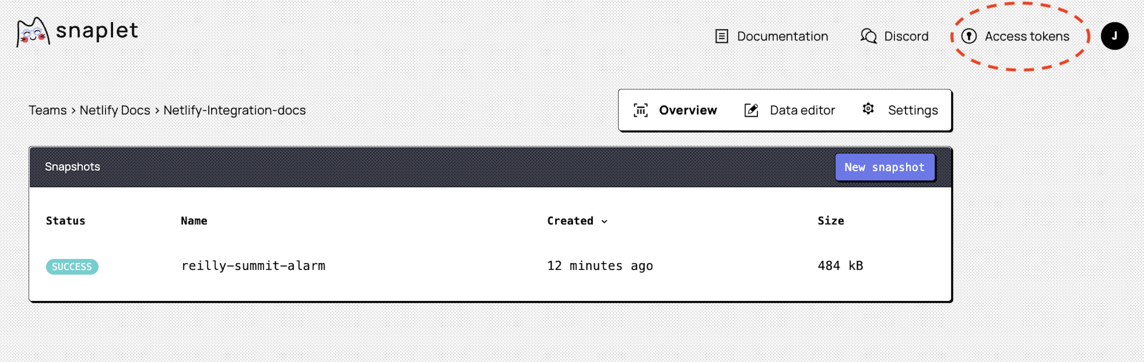 Snaplet access token in dashboard.